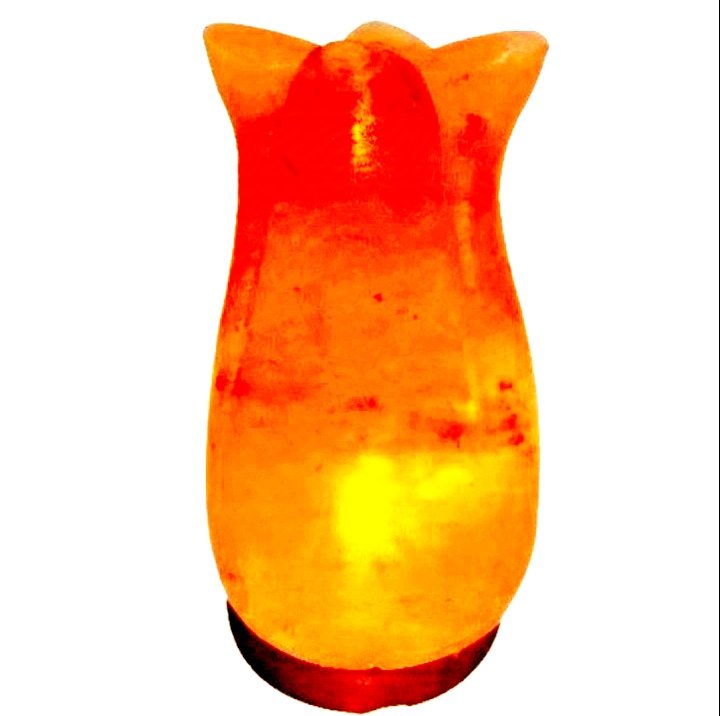 Salt flower shape lamp