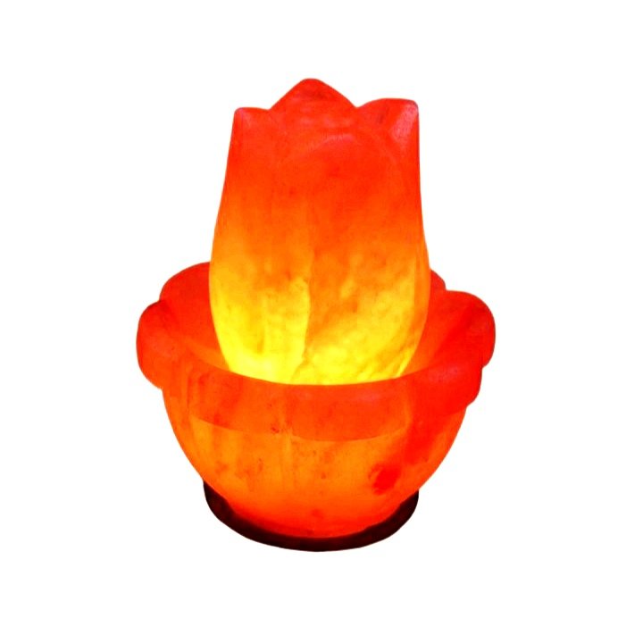 Salt flower shape lamp