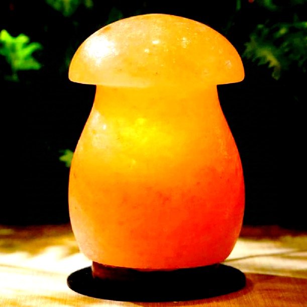 Himalayan salt mushroom shape lamp